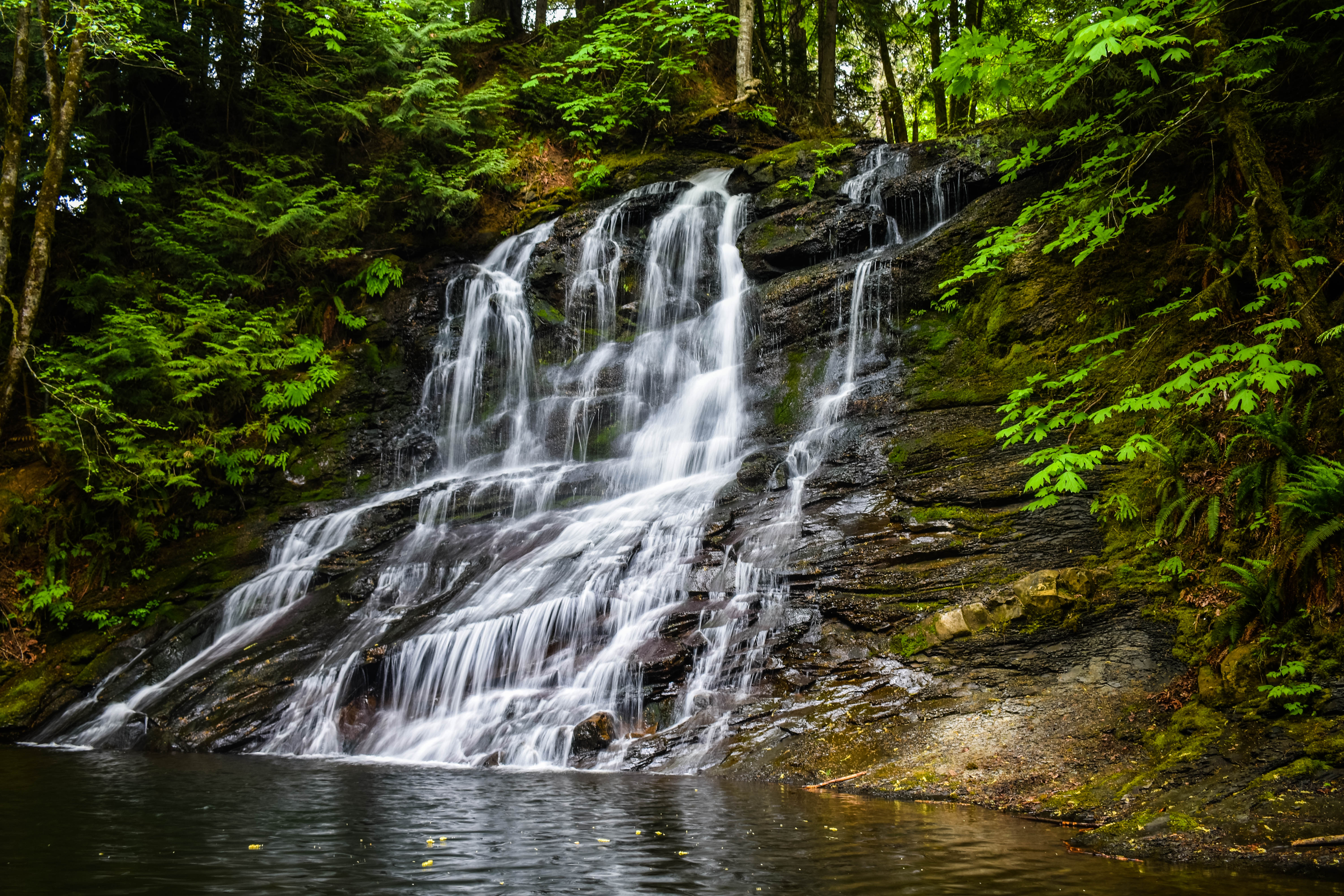 Best Hikes Around Nanaimo BC - Seek To Sea More