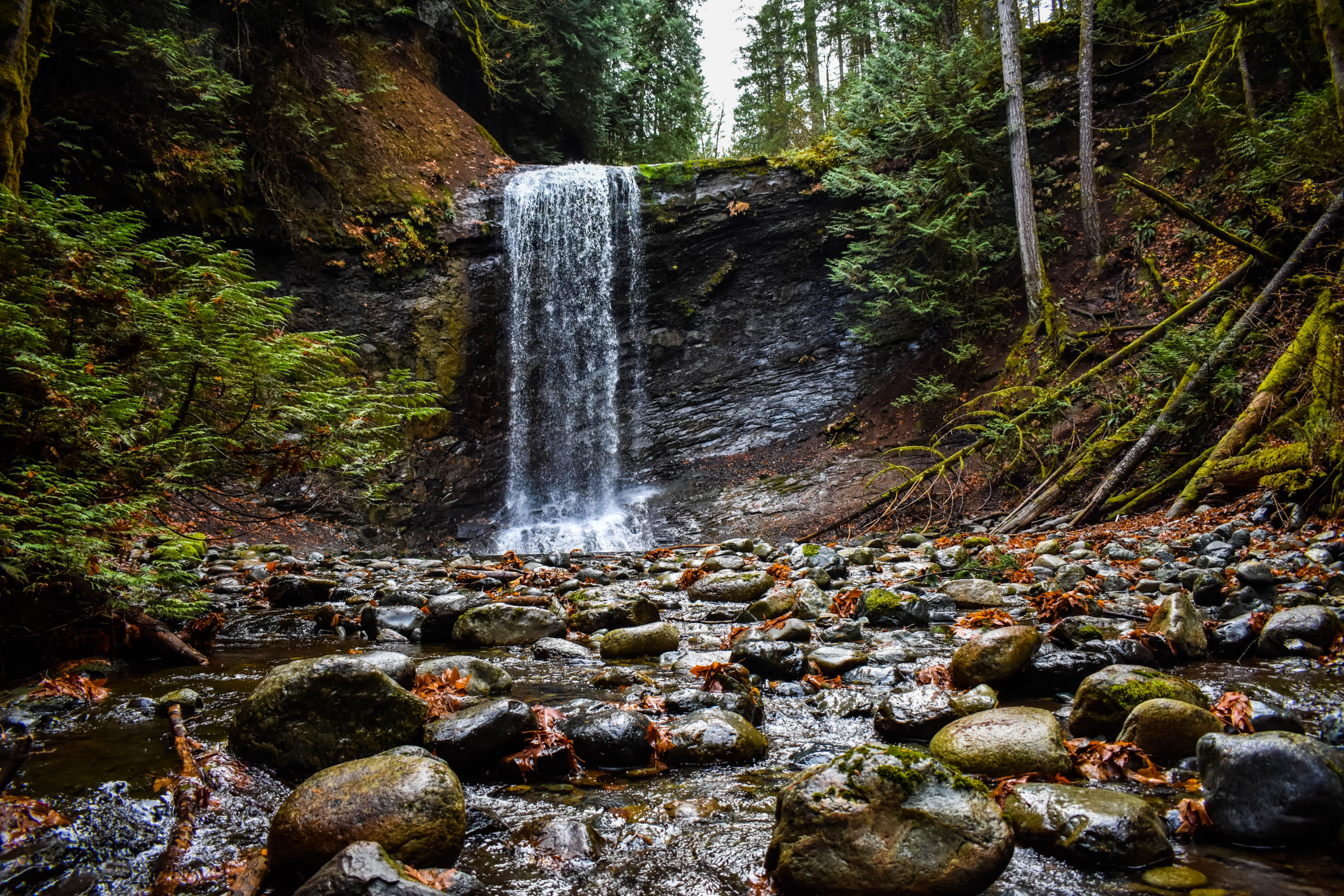 Best Hikes Around Nanaimo BC - Seek To Sea More